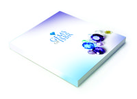 ISBR GEMS